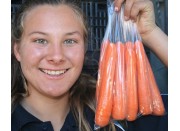 NEW SEASONS SPRING CARROTS 750 Gram Bag Pukekohe Grown NEW SEASONS SPRING CARROTS 750 Gram Bag Pukekohe Grown